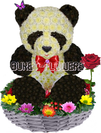Большая панда из живых цветов + Подарок.