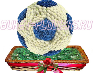 Футбольный мяч из живых цветов + Подарок.