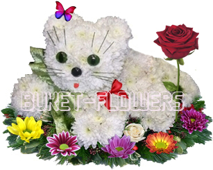 Кошка из живых цветов + Подарок.