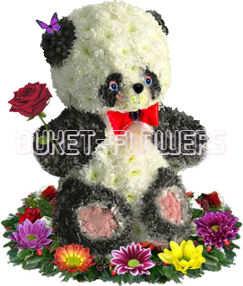 Панда из живых цветов + Подарок.