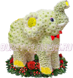 Слон из живых цветов + Подарок.